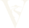 VOYZORA emblem